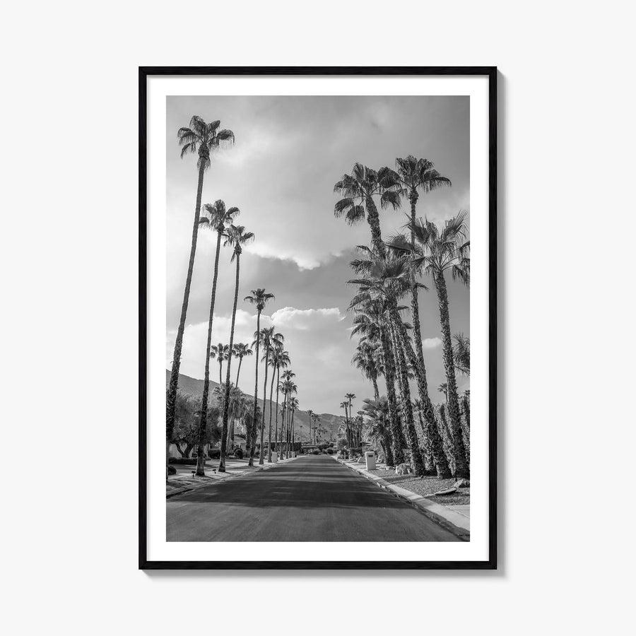 Palm Springs no. 3 black & white photo poster of California, USA – vertical wall art, unframed print shown in interior mockup