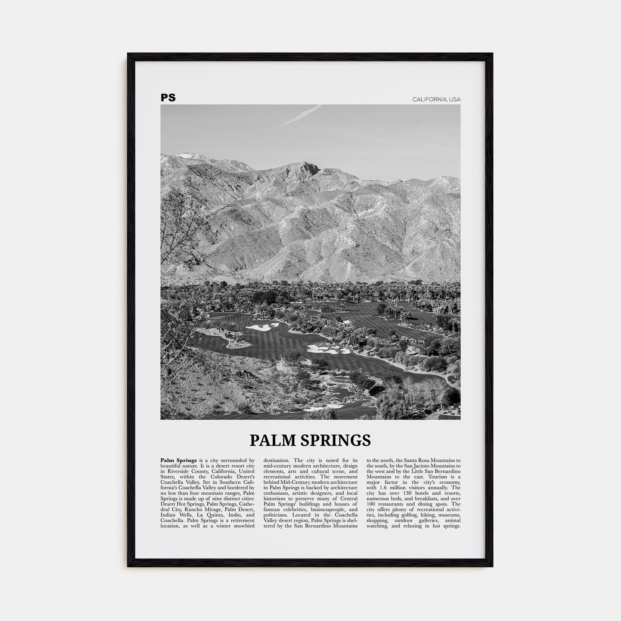 Palm Springs No 3 Poster Black Wood / 8x12 in Nbourhood Travel B&W Poster