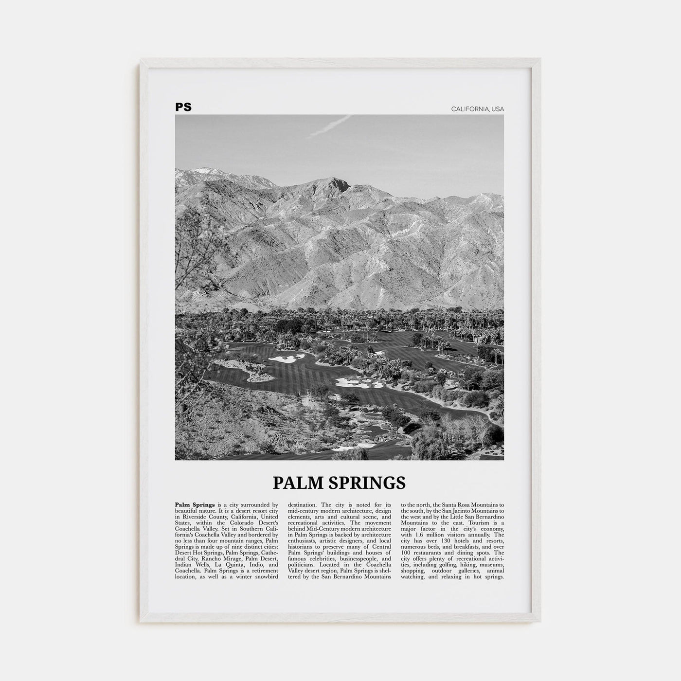 Palm Springs No 3 Poster White Wood / 8x12 in Nbourhood Travel B&W Poster