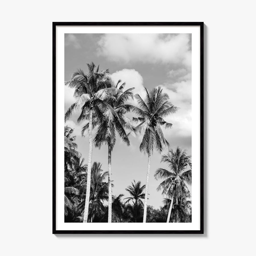 Palm Springs Photo No 2 Poster, framed poster mockup, white border
