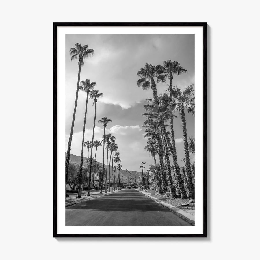 Palm Springs Photo No 3 Poster, framed poster mockup, white border