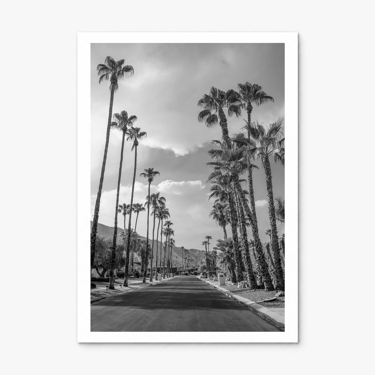 Palm Springs Photo No 3 Poster, print only (unframed), white border