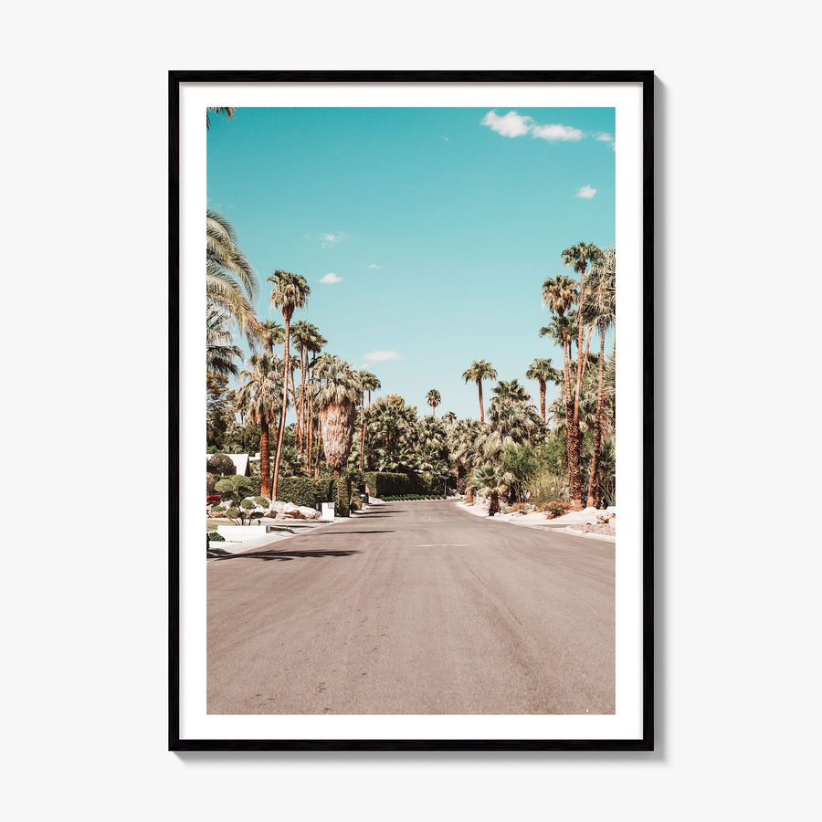 Palm Springs Photo No 1 Poster, framed poster mockup, white border