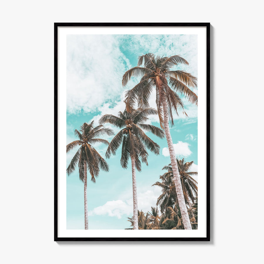 Palm Springs Photo No 2 Poster, framed poster mockup, white border