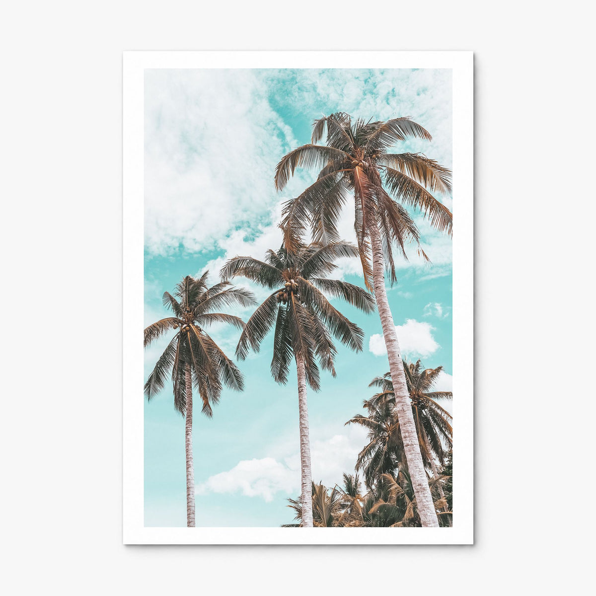 Palm Springs Photo No 2 Poster, print only (unframed), white border