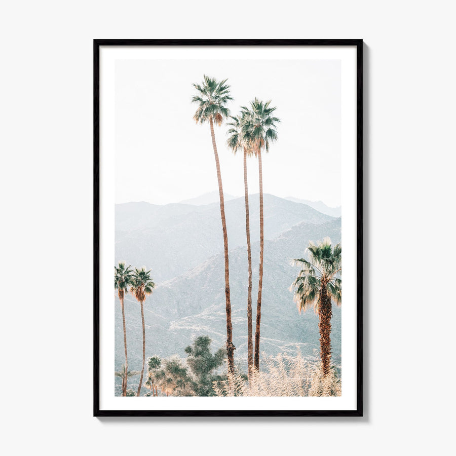 Palm Springs Photo No 4 Poster, framed poster mockup, white border