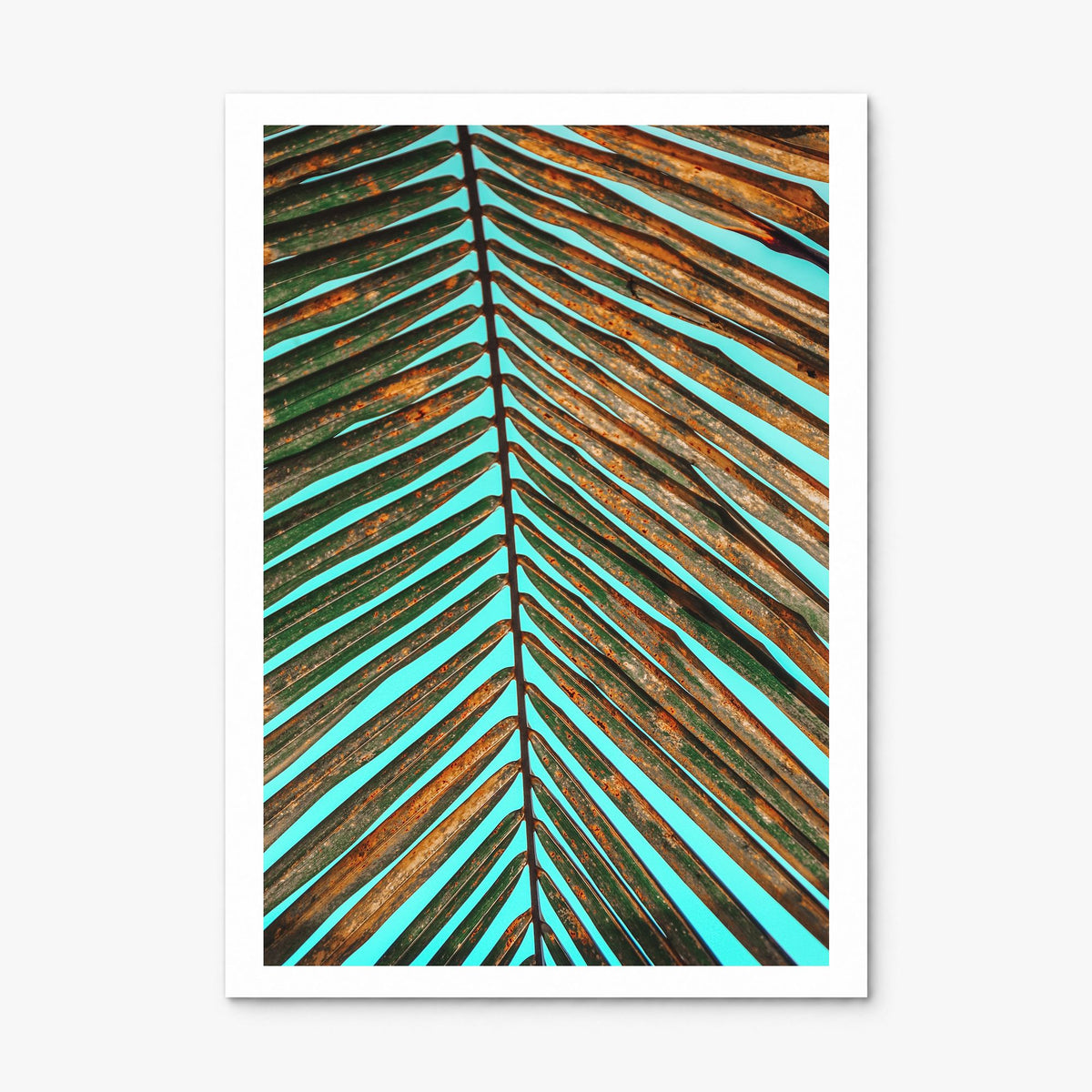 Palm Tree Leaf Photo Poster, print only (unframed), white border