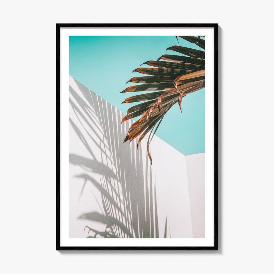Palm Tree Shadow Photo Poster, framed poster mockup, white border