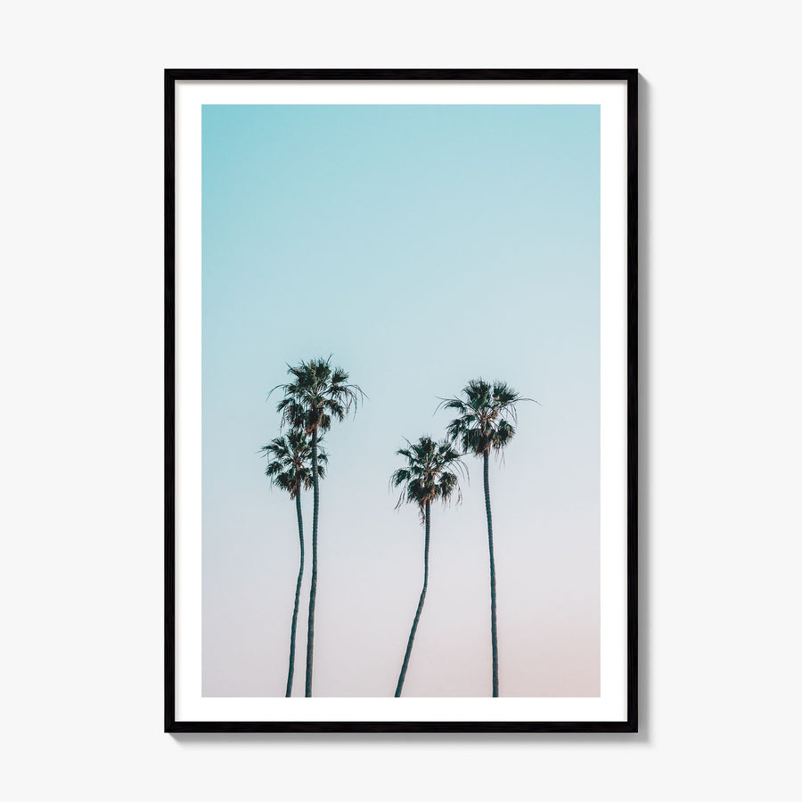 Palm Trees Photo No 1 Poster, framed poster mockup, white border