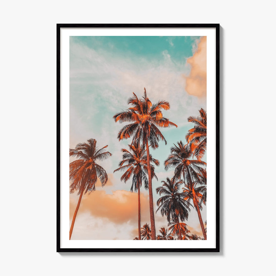 Palm Trees Photo No 10 Poster, framed poster mockup, white border