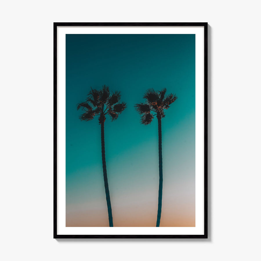 Palm Trees Photo No 11 Poster, framed poster mockup, white border