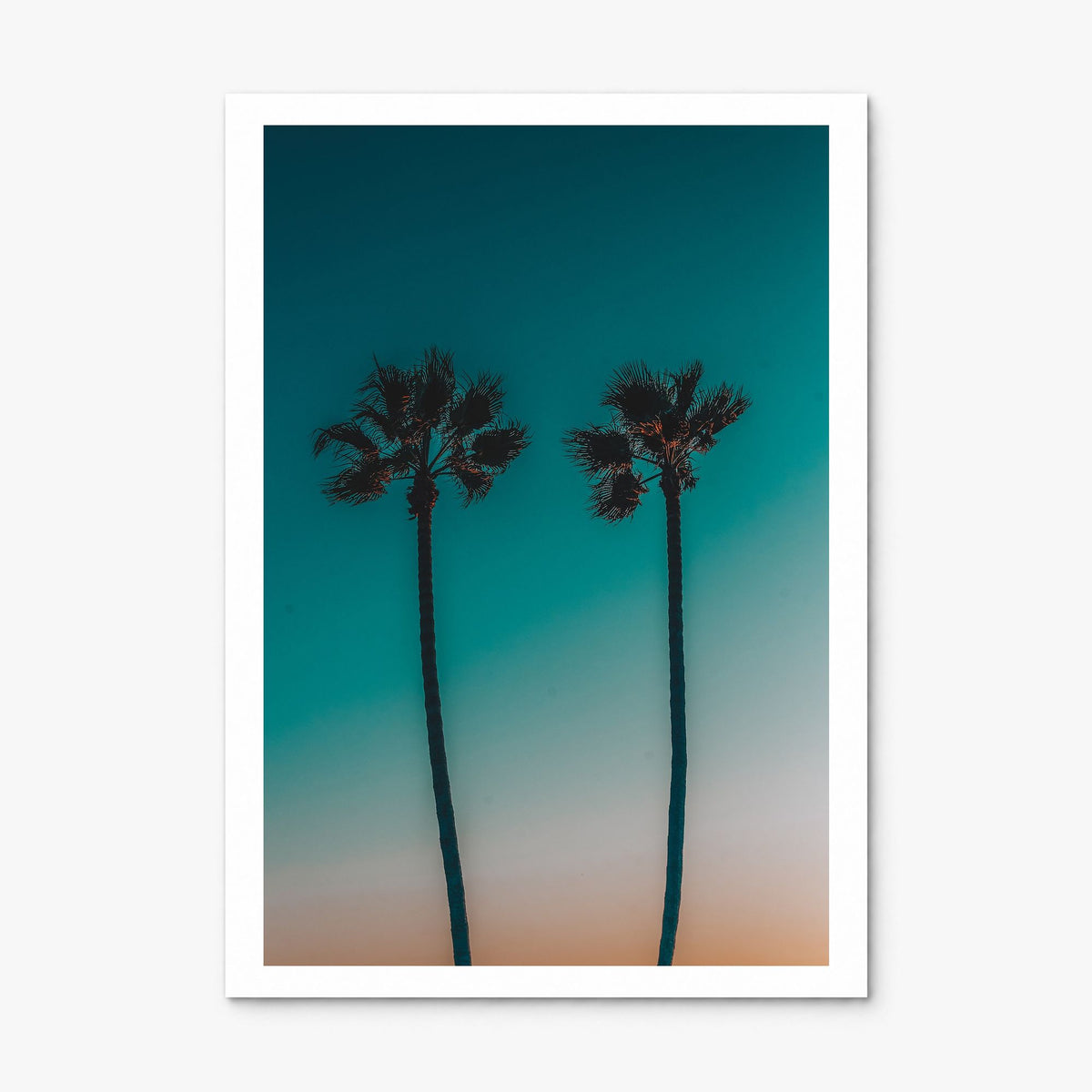 Palm Trees Photo No 11 Poster, print only (unframed), white border