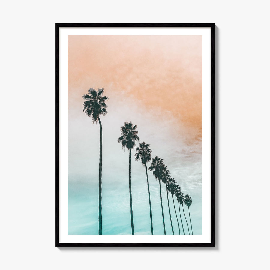 Palm Trees Photo No 2 Poster, framed poster mockup, white border