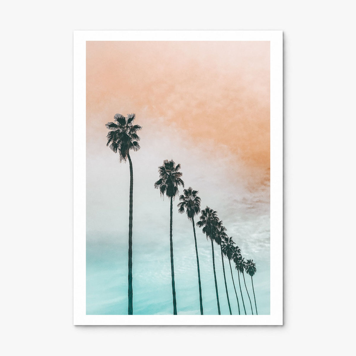 Palm Trees Photo No 2 Poster, print only (unframed), white border