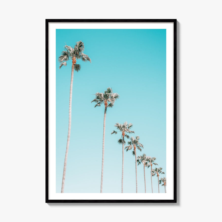 Palm Trees Photo No 3 Poster, framed poster mockup, white border