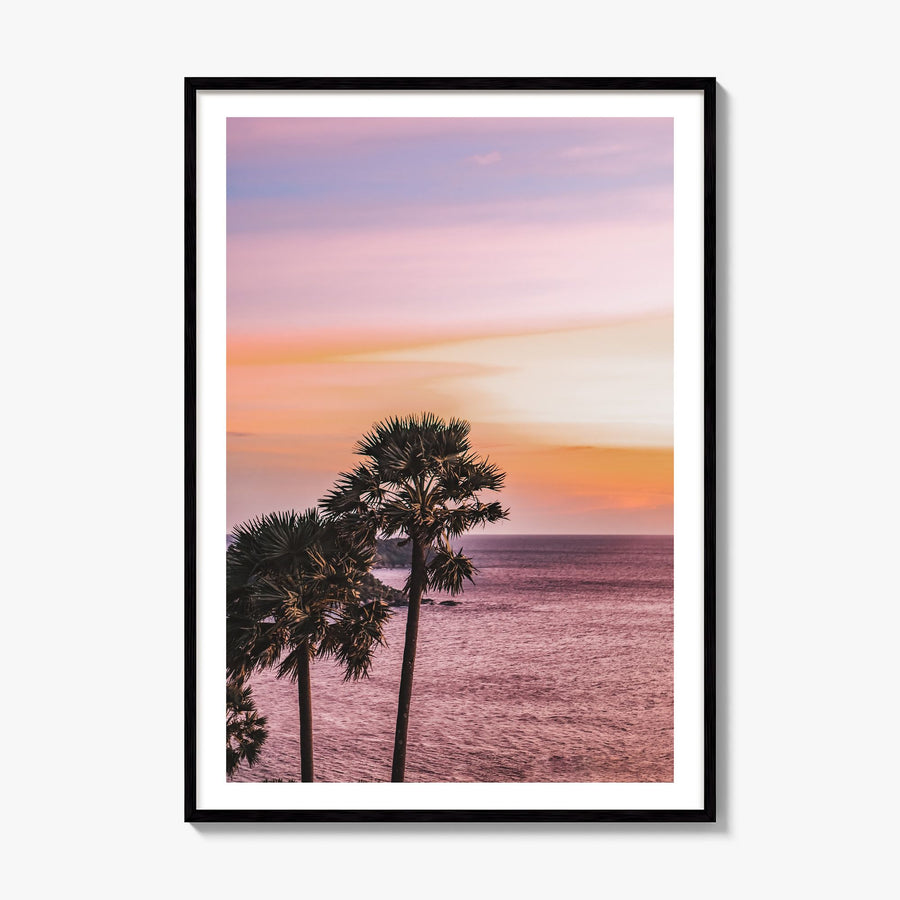 Palm Trees Photo No 5 Poster, framed poster mockup, white border