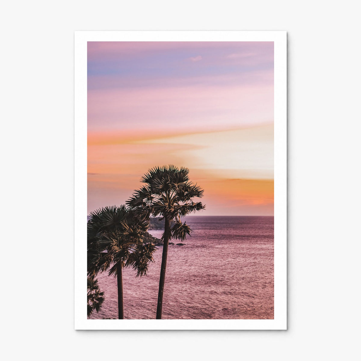 Palm Trees Photo No 5 Poster, print only (unframed), white border
