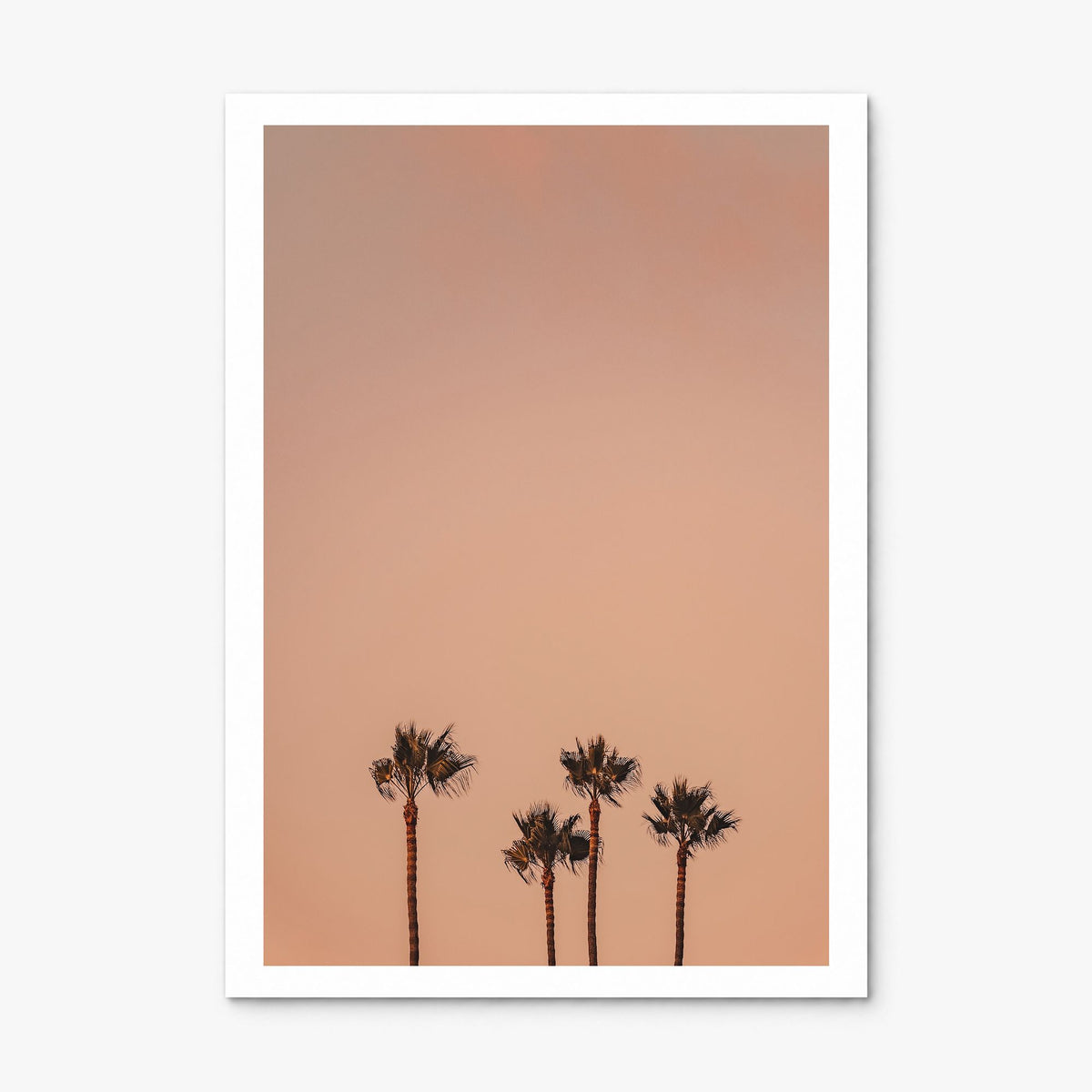 Palm Trees Photo No 6 Poster, print only (unframed), white border