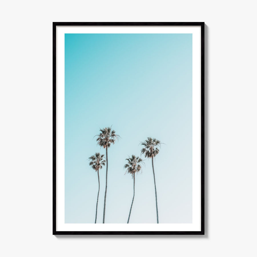 Palm Trees Photo No 7 Poster, framed poster mockup, white border