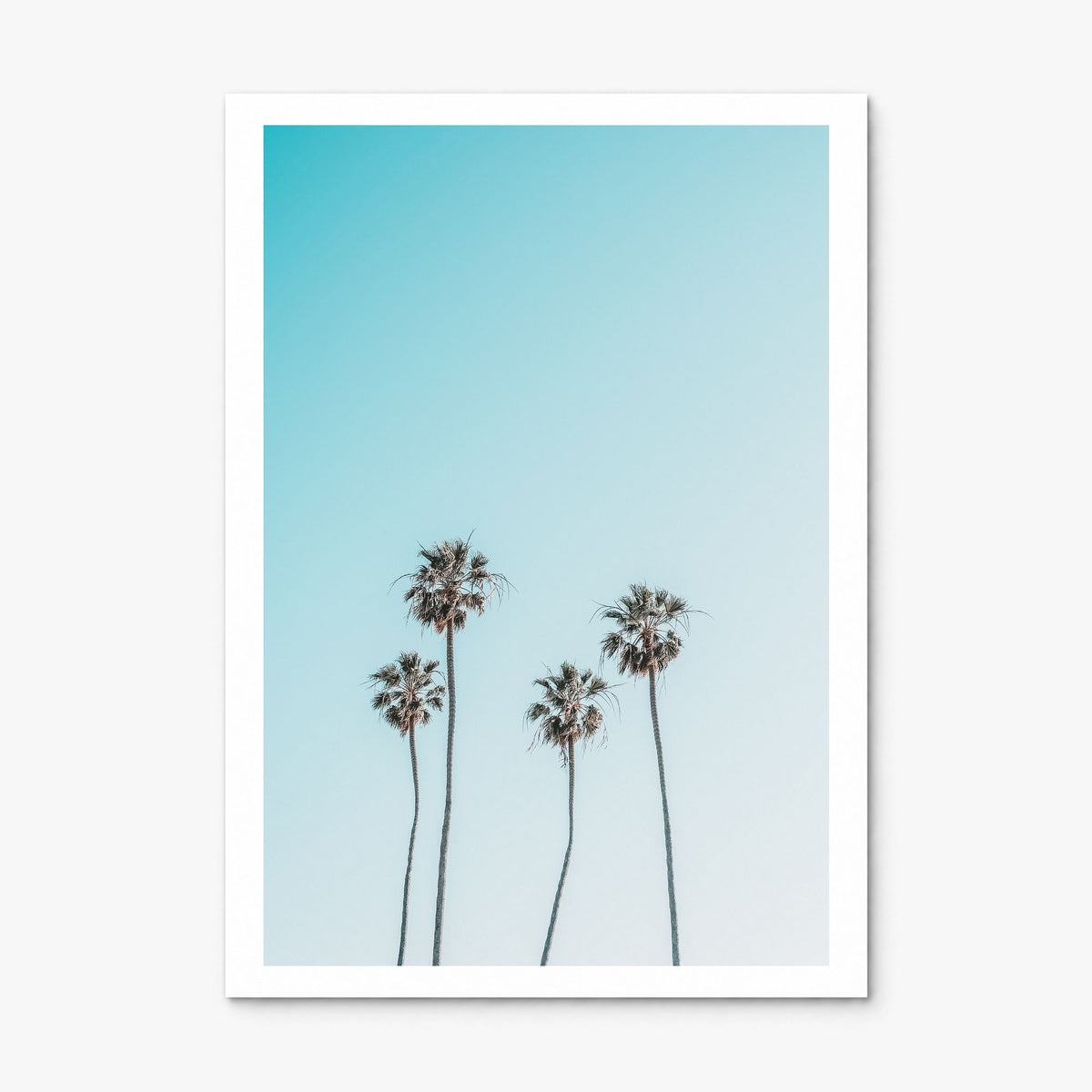 Palm Trees Photo No 7 Poster, print only (unframed), white border