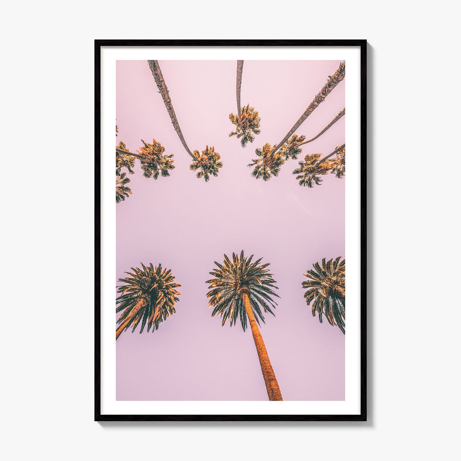 Palm Trees Photo No 8 Poster, framed poster mockup, white border