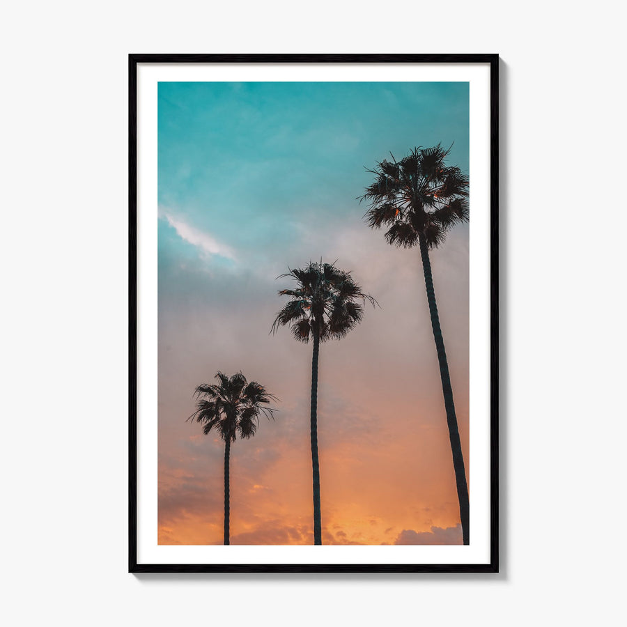 Palm Trees Photo No 9 Poster, framed poster mockup, white border