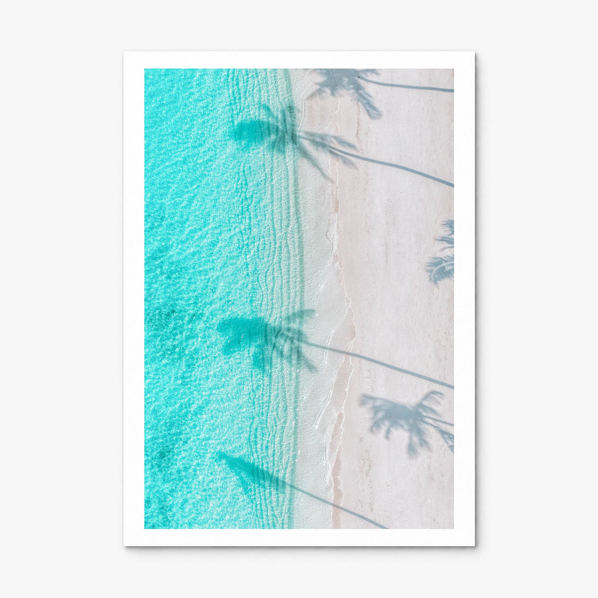 Palm Trees Shadows Photo Poster, print only (unframed), white border