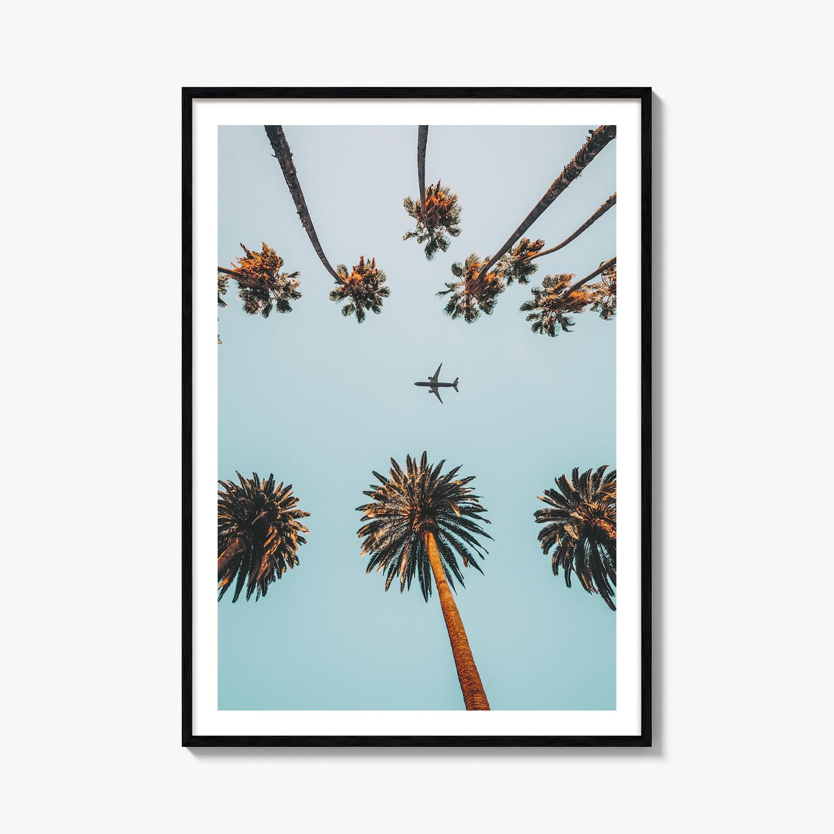 Palm Trees, Sky and Aircraft colorful photo poster – vertical wall art, unframed print shown in interior mockup