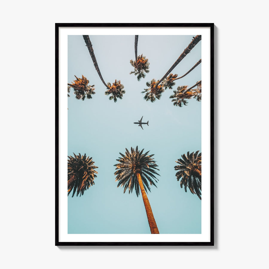 Palm Trees, Sky and Aircraft Photo Poster, framed poster mockup, white border