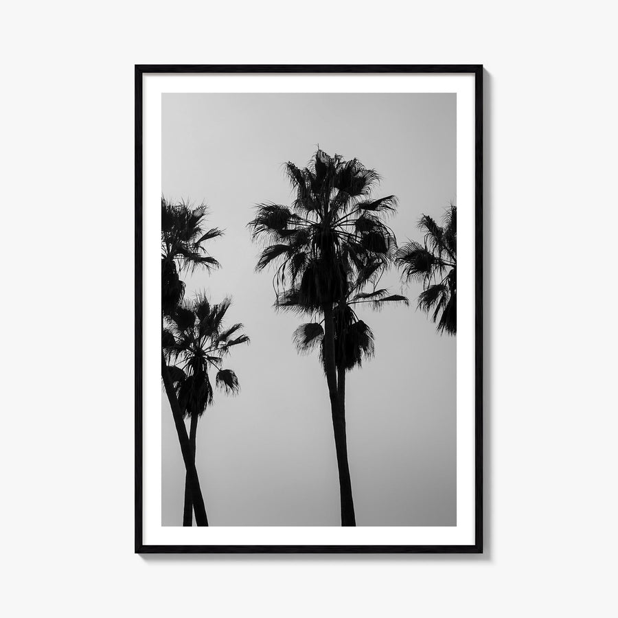 Palms black & white photo poster – vertical wall art, unframed print shown in interior mockup