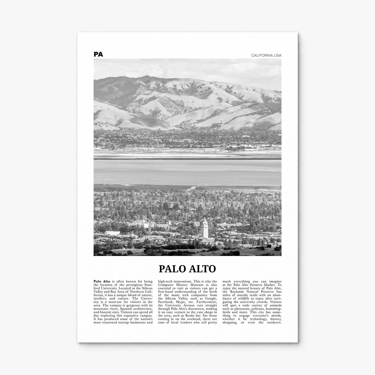 Palo Alto Newspaper Poster, print only (unframed)