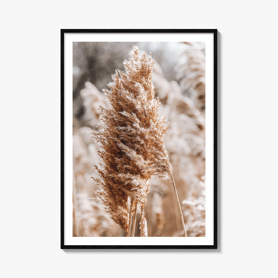 Pampas Grass no. 1 colorful photo poster – vertical wall art, unframed print shown in interior mockup
