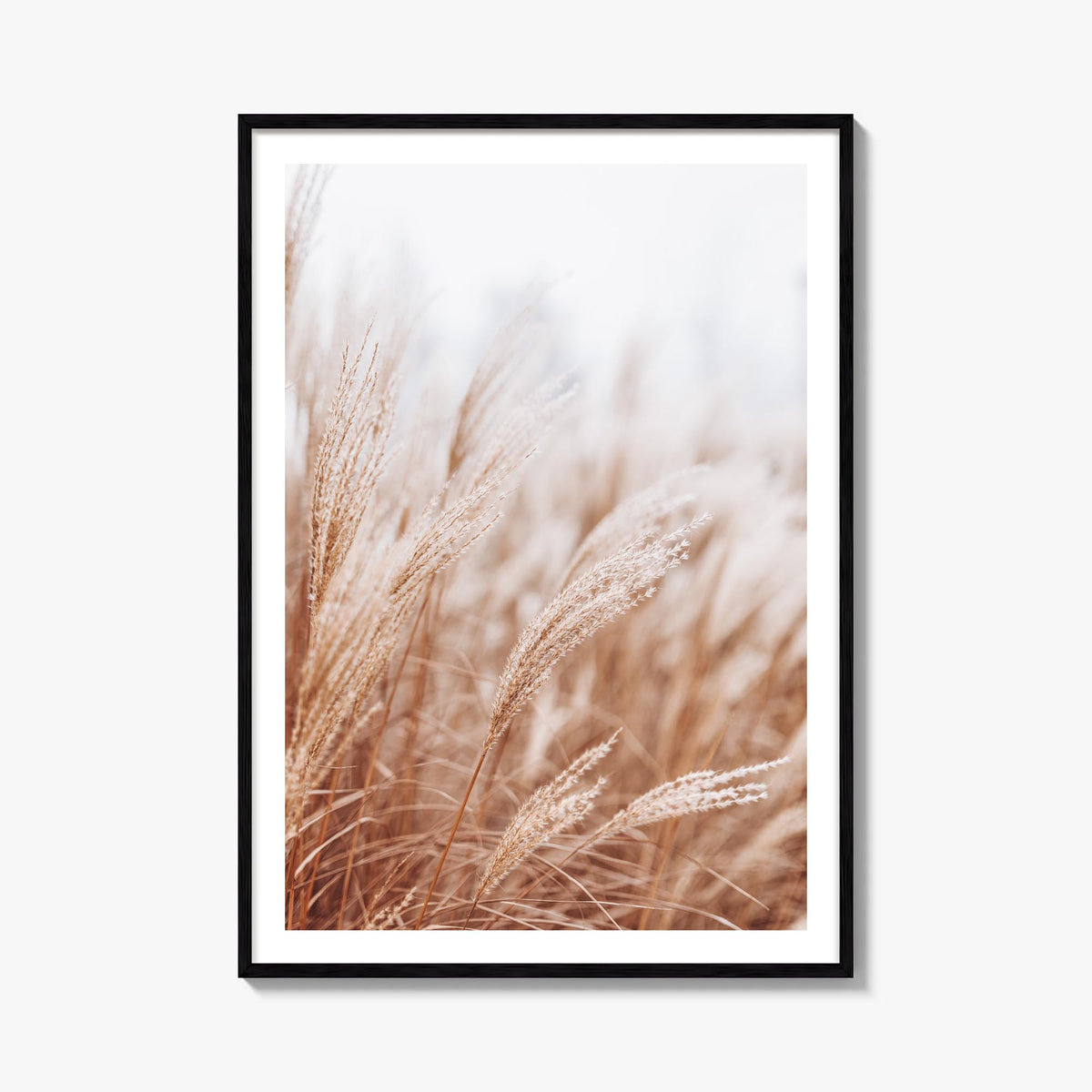 Pampas Grass no. 2 colorful photo poster – vertical wall art, unframed print shown in interior mockup