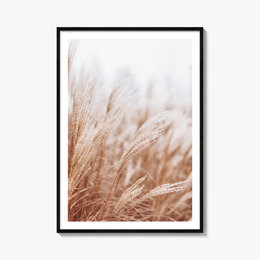 Pampas Grass no. 2 colorful photo poster – vertical wall art, unframed print shown in interior mockup