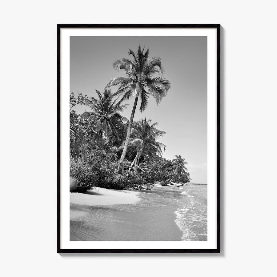 Panama Photo Poster, framed poster mockup, white border