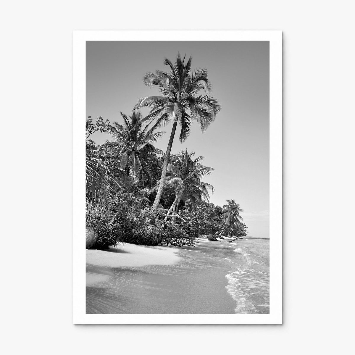 Panama Photo Poster, print only (unframed), white border