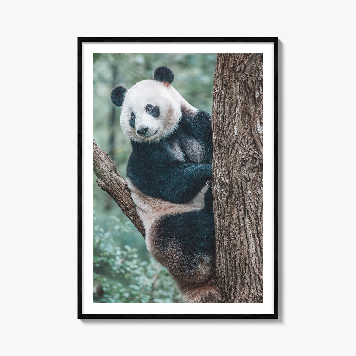 Panda Bear colorful photo poster – vertical wall art, unframed print shown in interior mockup
