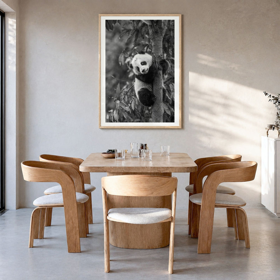 Panda Bear Photo No 2 Poster in a natural wood frame, hanging in a dining room, white border