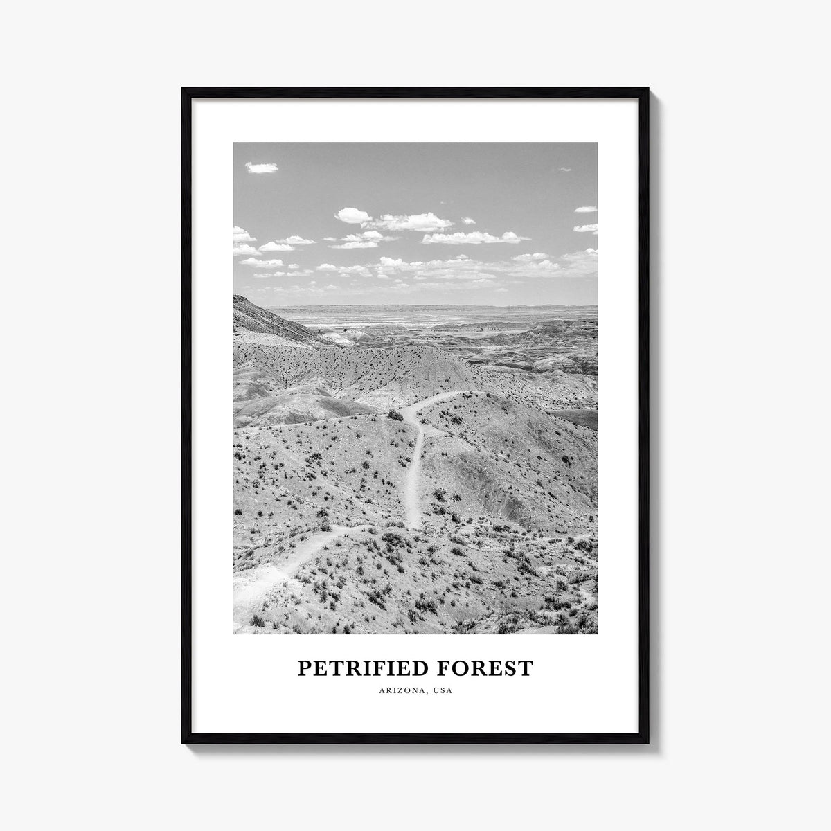 Petrified Forest National Park black & white classic poster of Arizona, USA – vertical wall art, unframed print shown in inte