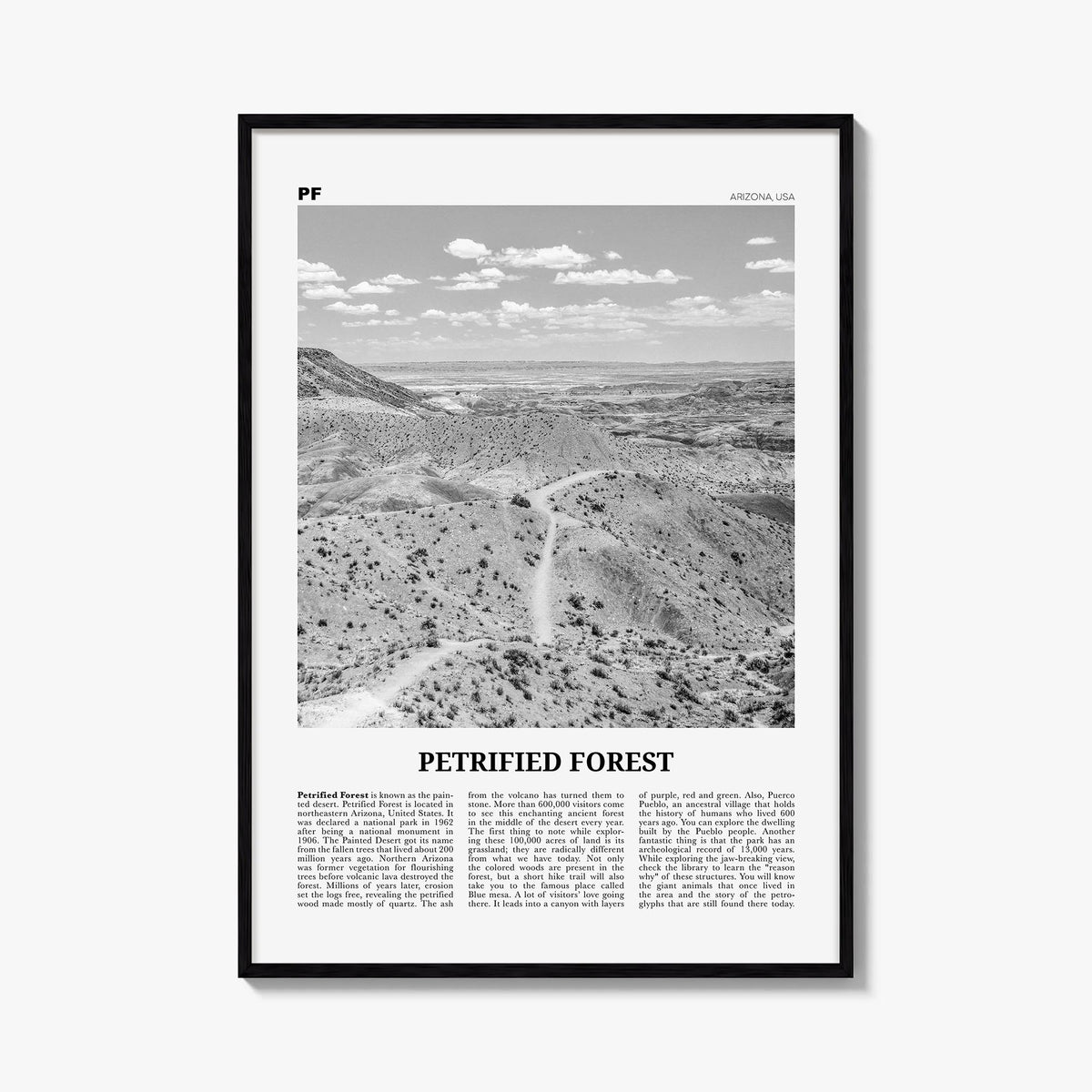 Petrified Forest National Park black & white newspaper poster of Arizona, USA – vertical wall art, unframed print shown in in