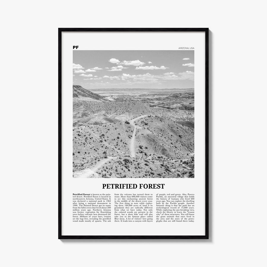 Petrified Forest National Park black & white newspaper poster of Arizona, USA – vertical wall art, unframed print shown in in