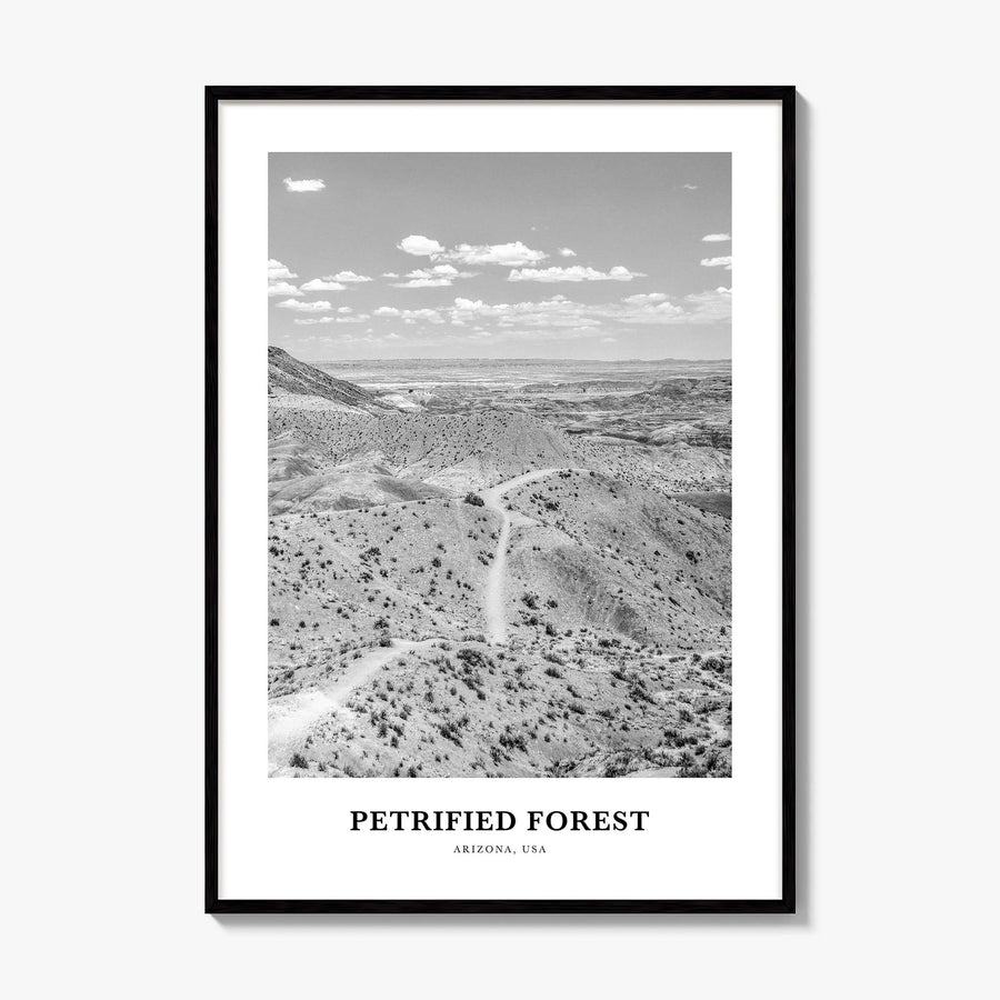 Petrified Forest National Park Classic Poster, framed poster mockup