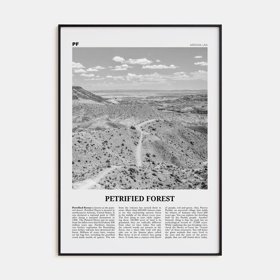 Petrified Forest National Park Poster None / 8x12 in Nbourhood Travel B&W Poster