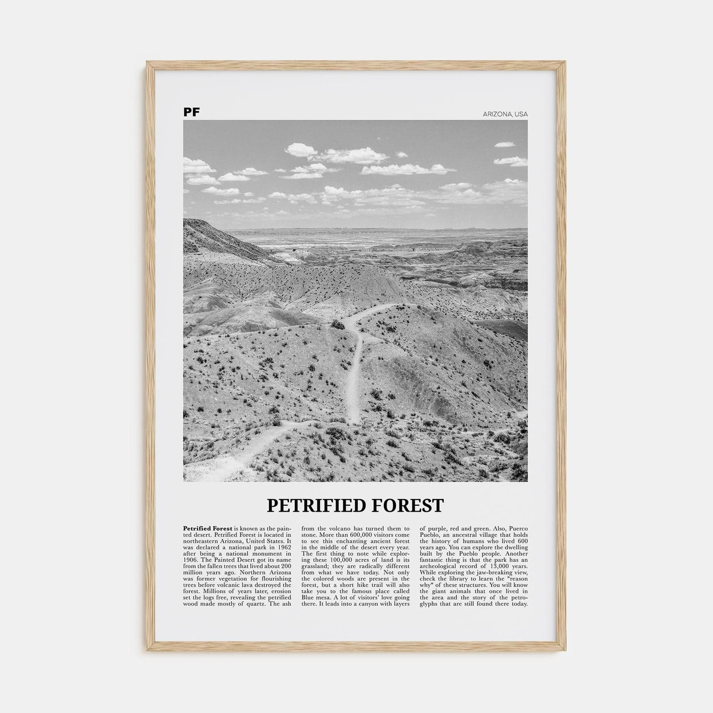 Petrified Forest National Park Poster Natural Wood / 8x12 in Nbourhood Travel B&W Poster