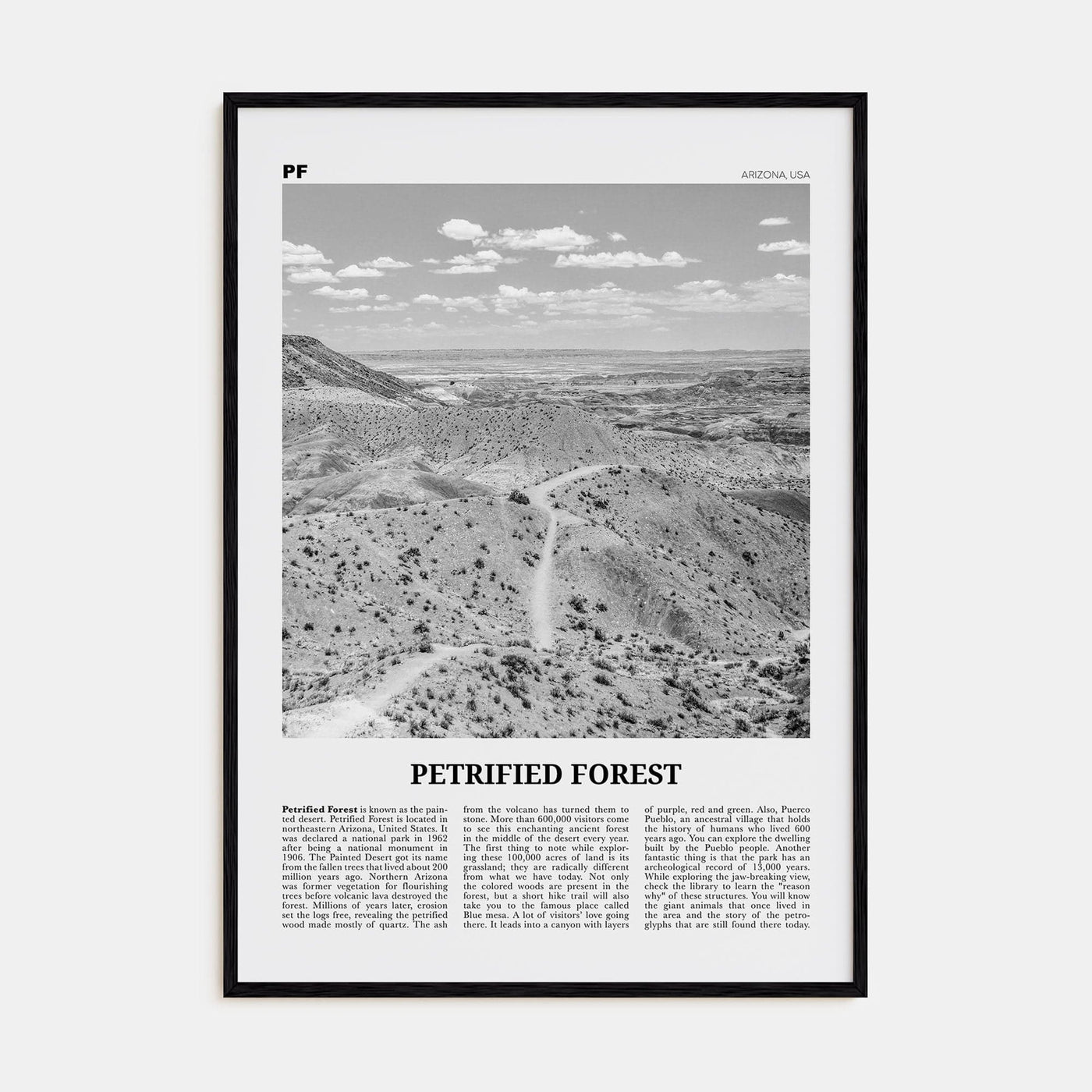 Petrified Forest National Park Poster Black Wood / 8x12 in Nbourhood Travel B&W Poster