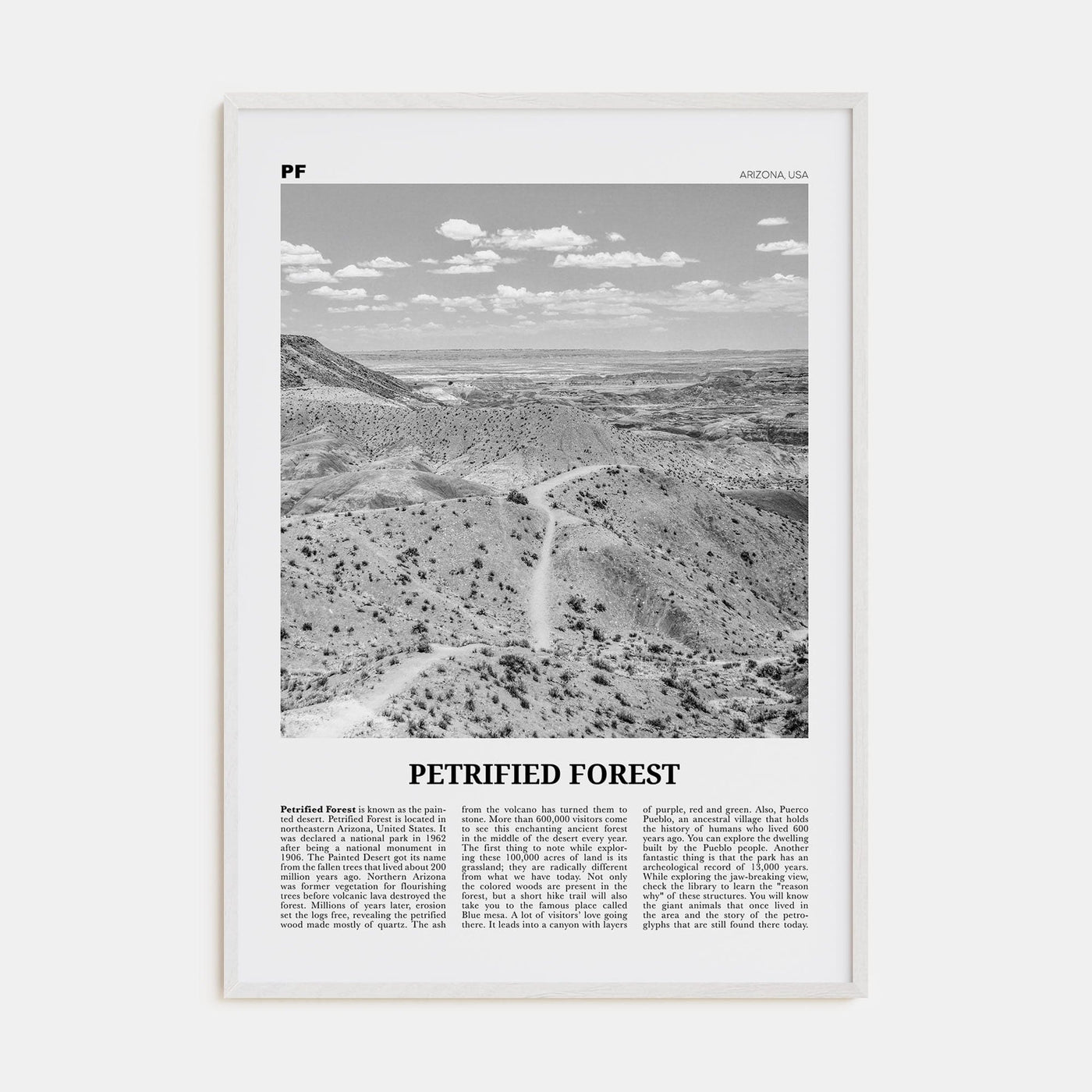 Petrified Forest National Park Poster White Wood / 8x12 in Nbourhood Travel B&W Poster