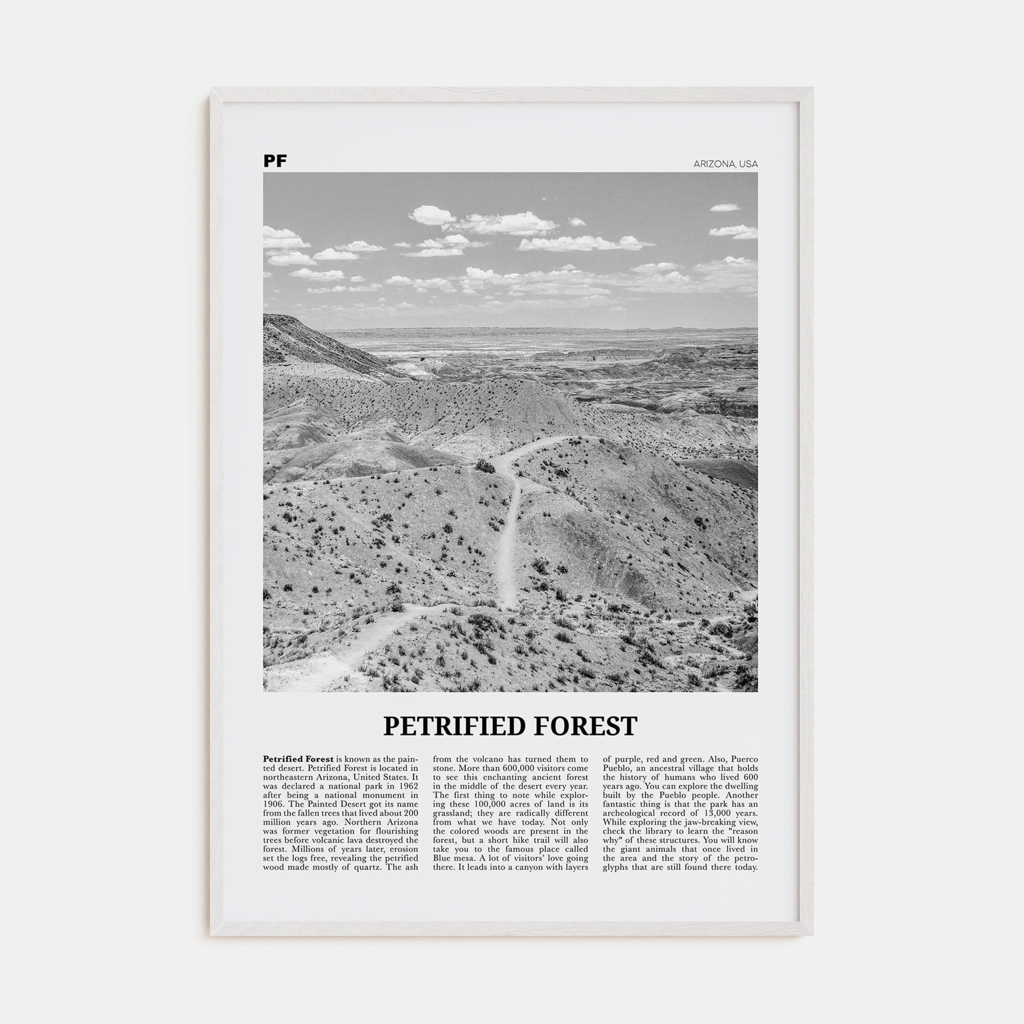 Petrified Forest National Park Poster White Wood / 8x12 in Nbourhood Travel B&W Poster