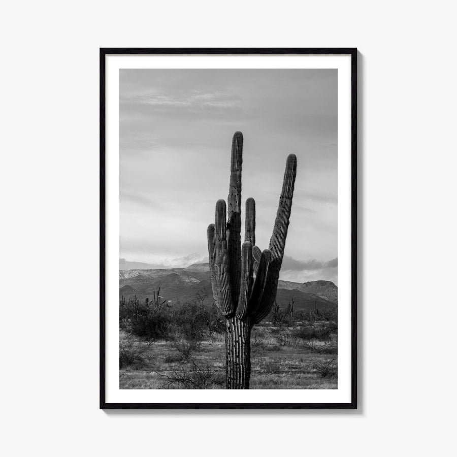 Phoenix no. 1 black & white photo poster of Arizona, USA – vertical wall art, unframed print shown in interior mockup