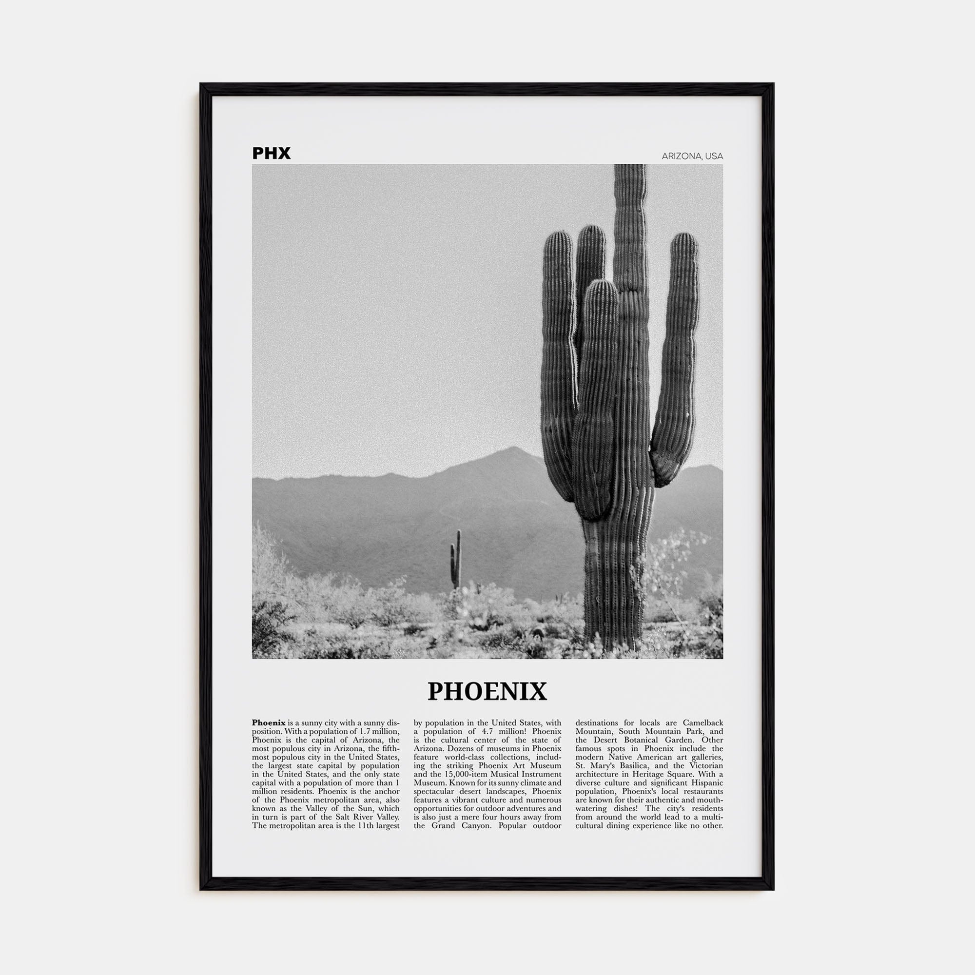 Phoenix No 3 Poster Black Wood / 8x12 in Nbourhood Travel B&W Poster