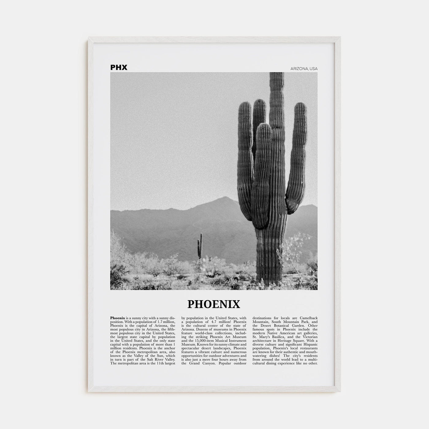 Phoenix No 3 Poster White Wood / 8x12 in Nbourhood Travel B&W Poster